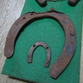 Board with antique horseshoes, some for oxen and ponies originating from South West Africa