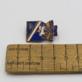 Vintage De Villiers Graaff High School pin badge