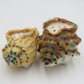 Pair of Conch shell salt and pepper shakers