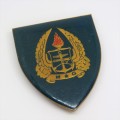 SADF Military Gymnasium shoulder flash