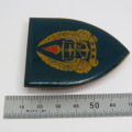 SADF Military Gymnasium shoulder flash