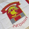 Saldanha Primary School Sport flag - Size 176 x 107 cm