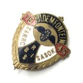 1946 Bloemfontein SARRC-SASOK pin badge