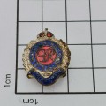 WW2 Royal Engineers sweetheart lapel  badge