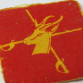 SA Army Cadets cloth badge