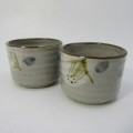 Porcelain Japanese Sake set in box