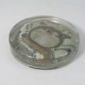 Antique paper weight for Fire, Life insurance Company