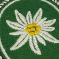 German Army 1st Mountain division cloth patch