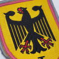 German Army Panzerregiment 100 cloth patch