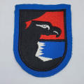 German Air Force 41 Light combat wing cloth patch