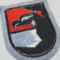 German Air Force 41 Light combat wing cloth patch