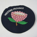 Lot of vintage Western Province Water Polo cloth badges