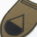 SADF 44 Parachute Brigade Delta Company cloth flash