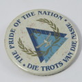 SA Air Force 75 years tinnie badge