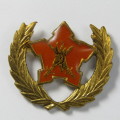 SA Army Citizen Force breast badge
