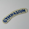 SA Navy Military Gymnasium cloth shoulder title