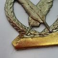 SA Air Force Finances breast badge - no pin