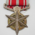 SA Police Combatting terrorism medal issued to W87383N Konstabel A.L.Mare in 1981