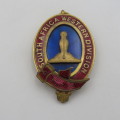 Masonic South Africa Western Division collar jewel
