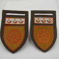 Pair of SADF Regiment de Wet tupperware flashes with OFS command bar