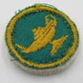 SA Army Nurse proficiency cloth badge