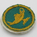 SA Army Nurse proficiency cloth badge