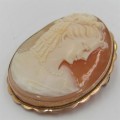 Vintage Cameo in 9kt gold surround - weight 7,5 g