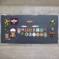 SADF Border War Medal and badges display of Paratrooper Van der Merwe