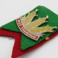 Wes Transvaal Rugby pin badge