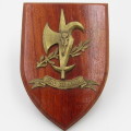 SA Air Force 17 Squadron plaque