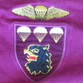 SA Army 3 Parachute battalion veterans t-shirt