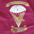 SA Army 1 Parachute battalion D-company Veterans t-shirt - Size Large