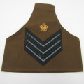 Pair of SA Air Force Flight sergeant nutria rank brassards