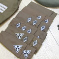 Collection of South West African Territorial Forces rank badges , marksman badges and beret and ties
