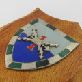 SADF 1 Signal regiment shoulder flash plaque