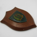 SADF Military Gymnasium shoulder flash plaque