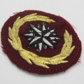 SA Army Special Forces cloth beret badge