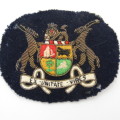 Pair of SA Navy bullion wire warrant officer badges