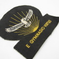 SA Air Force Gymnasium large cloth badge