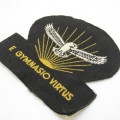 SA Air Force Gymnasium large cloth badge