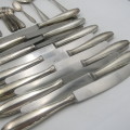 Vintage 153 piece WMF Friodur silverplated cutlery set