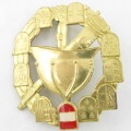 Lower Austria Fire Brigade cap badge