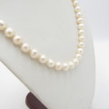 String of Pearls with 9kt gold clasp 56 pearls total - 45 cm long