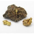 Original Gold Nugget & pieces found by Tom Downham