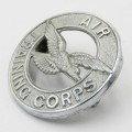 Royal Air Force Air Training corps badge