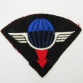 France Air delivery group Parachute wings
