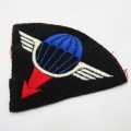 France Air delivery group Parachute wings