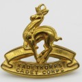 SA Cadet Corps brass collar badge