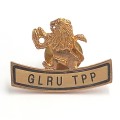 Golden Lions Rugby Union TPP lapel pin badge