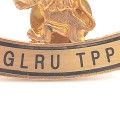 Golden Lions Rugby Union TPP lapel pin badge